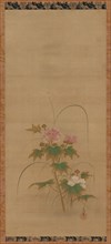 Hibiscus (part of a set), Edo period, mid 17th-early 18th century. Creator: Kanô Yôboku Tsunenobu.