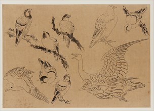 Birds, Edo period, late 18th-early 19th century. Creator: Hokusai.