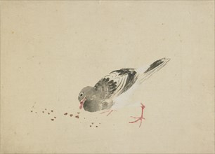 Pigeon, late 18th-early 19th century. Creator: Hokusai.