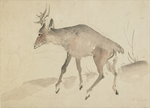 Deer, late 18th-early 19th century. Creator: Hokusai.