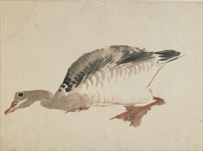 Goose, late 18th-early 19th century. Creator: Hokusai.