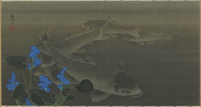 Carp, Edo period, early 19th century. Creator: Kuroda Toko.