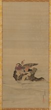 Mandarin ducks, Edo period, 18th century. Creator: Maruyama Okyo.