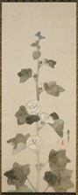 White hollyhocks, Edo period, late 17th-early 18th century. Creator: Ogata Korin.