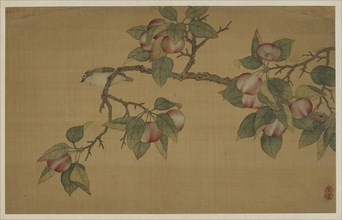 Bird and Fruit, Qing dynasty, 1741. Creator: Wu Zhang.