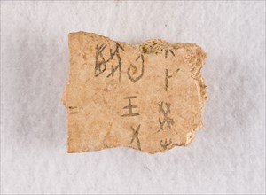 Inscribed bone fragment ("oracle bone"), Late Shang dynasty, ca. 1300-1050 BCE. Creator: Unknown.