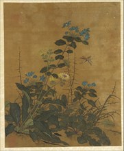 Ten pictures of flowers, fruits and birds, Ming dynasty, 1368-1644. Creator: Unknown.