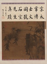 Rocks and Bamboos, Ming dynasty, 15th century. Creator: Unknown.