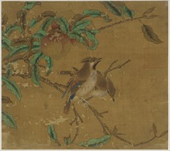 Birds and peaches, Ming dynasty, 1368-1644. Creator: Unknown.
