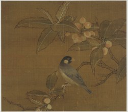 Java Sparrow on a berry branch, Ming dynasty, 15th century. Creator: Unknown.