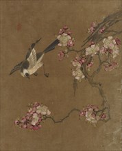 Birds and Flowers, Ming dynasty, 1368-1644. Creator: Unknown.