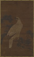 A White eagle on a pine branch, Ming or Qing dynasty, (17th century?). Creator: Unknown.