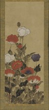 Poppies, Edo period, late 17th-late 19th century. Creator: Unknown.