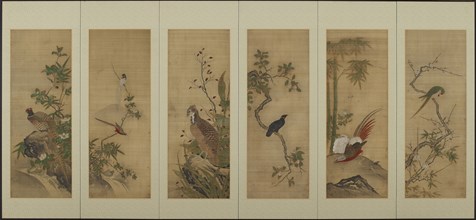 Birds and flowers, Edo period, 18th century. Creator: Unknown.