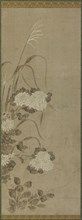 White chrysanthemums and grasses, Edo period, 1615-1868. Creator: Unknown.