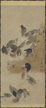 Ducks, Edo period, (18th century?). Creator: Unknown.