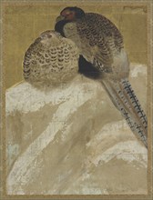 Two pheasants on a snow bank, Momoyama period, (18th century?). Creator: Unknown.