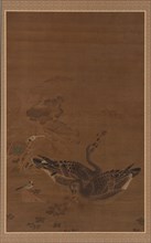 Two Geese Feeding in a Lotus Pond, Ming dynasty, 16th-17th century. Creator: Unknown.