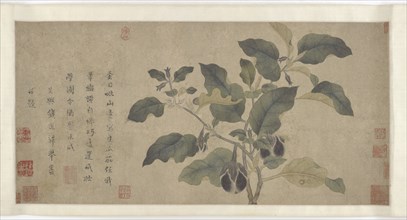 Eggplant, Yuan or Ming dynasty, 14th century. Creator: Unknown.