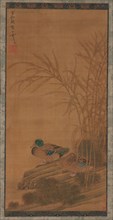 Two ducks among reeds at the water's edge, Ming or Qing dynasty, 15th-18th century. Creator: Unknown.