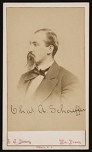 Portrait of Charles Ashmead Schaeffer (1843-1898), 1870s. Creator: Purdy & Frear.