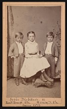 Group Portrait of Herman Henry Diebitsch Children - Emil, Josephine (Josie), and Henry, June 1873. Creator: Ulke Bros.