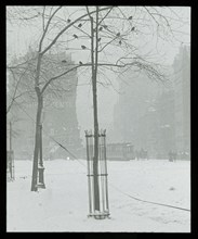 Tree in Snow, New York City, 1900/02. Creator: Alfred Stieglitz.