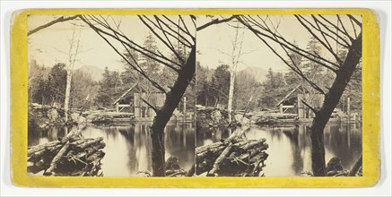 The Mill Pond near Laurel House, 1869/1901. Creator: Anthony & Company.