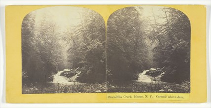 Cascadilla Creek, Ithaca, N.Y. Cascade above dam, 1860/65. Creator: J. C. Burritt.