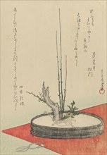 Arrangement of Plum, Fukujuso (Adonis Flower), and Scissors, 1798. Creator: Kubo Shunman.
