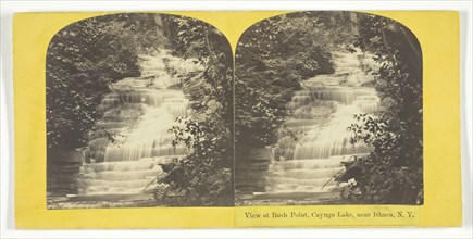 View at Bush Point, Cayuga Lake, near Ithaca, N.Y., 1860/65. Creator: J. C. Burritt.