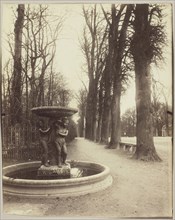Versailles, Coin de Parc, 1902. Creator: Eugene Atget.