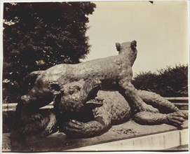 Versailles, Fontaine du Point du Jour, (Tigre Terrassant un Ours par Houzeau), 1903. Creator: Eugene Atget.