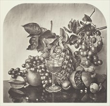 Fruit, c. 1868. Creator: John Thomson.