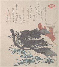 Various Seaweed, 19th century. Creator: Kubo Shunman.