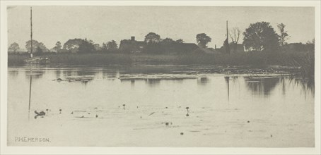 The Fringe of the Mere, c. 1883/87, printed 1888. Creator: Peter Henry Emerson.