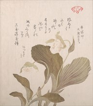 Hotei Flowers, 19th century. Creator: Kubo Shunman.