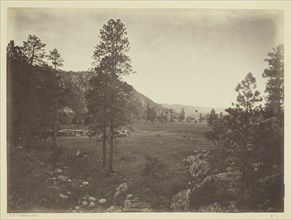 Cooley's Park, Sierra Blanca Range, Arizona, 1873. Creator: Tim O'Sullivan.