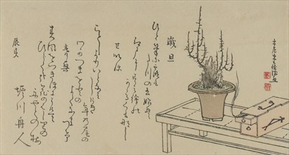 Bonsai Plum Tree on Bench and Box, 1796. Creator: Kubo Shunman.