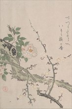 Roses and Plum Blossoms, 19th century. Creator: Kubo Shunman.