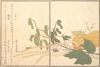 Cone-headed Grasshopper or Locust, (batta); Praying Mantis (Toro or Kamakiri)..., 1788. Creator: Kitagawa Utamaro.