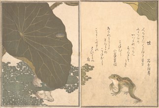 Frog (Kaeru); Gold Beetle (Kogane mushi)..., 1788. Creator: Kitagawa Utamaro.