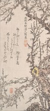 Plum Tree in Blossom, late 18th-early 19th century. Creator: Kitao Shigemasa.