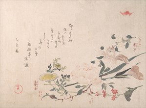 Rose, Iris, Primrose and Daisy, 1815. Creator: Kubo Shunman.