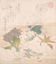 Cherry Blossoms and Pine Cones, 19th century. Creator: Kubo Shunman.