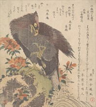 Eagle on a Rock; Flowering Azaleas, ca. 1800. Creator: Kubo Shunman.
