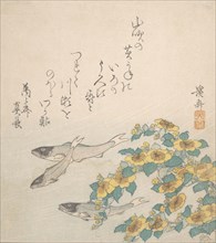 Fishes Swimming with Yellow Flowers, ca. 1830. Creator: Ikeda Eisen.