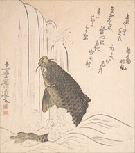 Carp Trying to Swim up a Waterfall, probably 1820. Creator: Kurokawa Michita.
