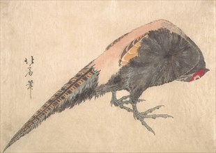 Bird, 1830s. Creator: Hakusanjin Hokui.