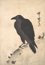 Crow Resting on Wood Trunk, mid-late 19th century. Creator: Kawanabe Kyosai.